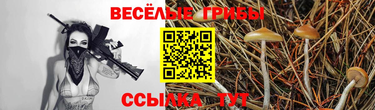 Галлюциногенные грибы MAGIC MUSHROOMS  Галлюциногенные грибы Psilocybe  Вход с VPN  Асбест 