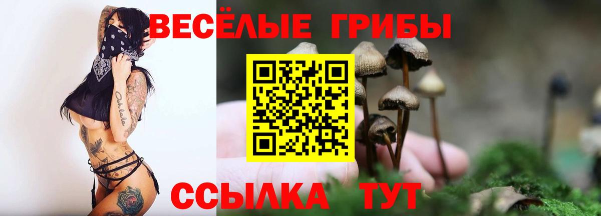 Галлюциногенные грибы мицелий Асбест